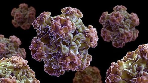 virus del papilloma umano