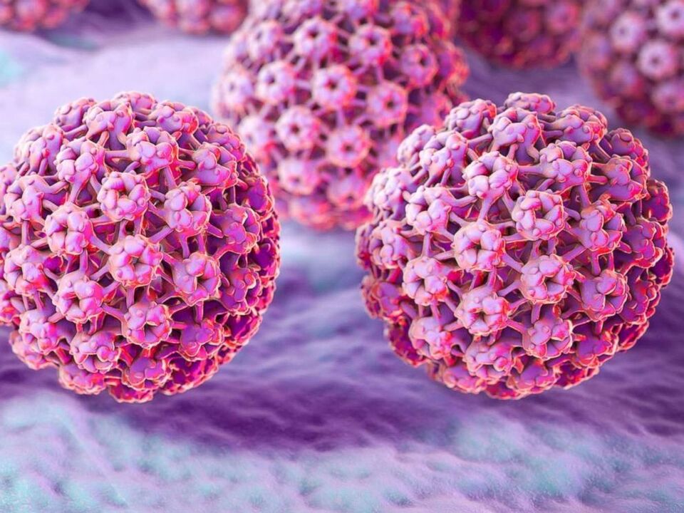 classificazione del virus del papilloma